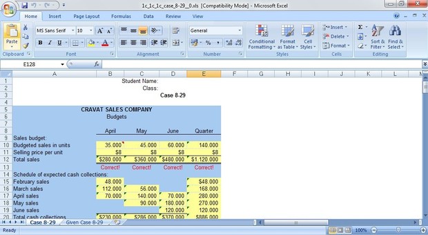 Evaluating a Company's Budget Procedures & Master Budget with Supporting Schedules