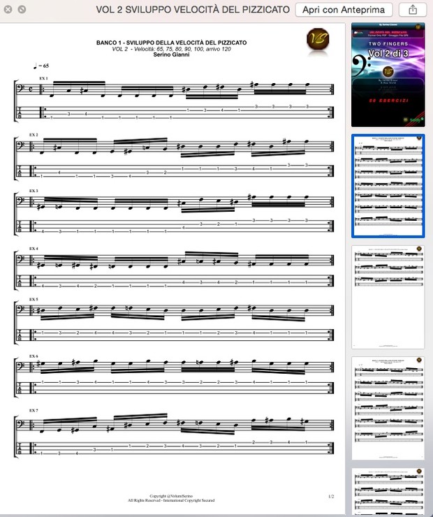 VOLUME 2 - SVILUPPO DELLA VELOCITÀ DEL PIZZICATO - PDF (GP6 IN OMAGGIO)