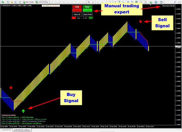 R231 Forex Renko Silver Light Strategy - 