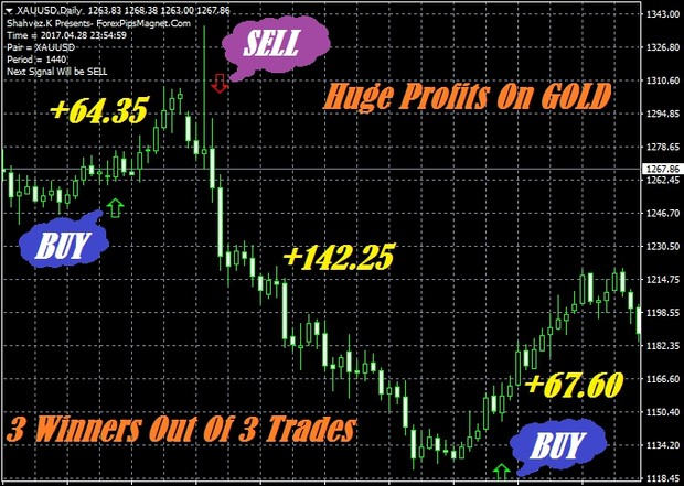 Forex Pips Magnet Indicator Review | Honest Forex Reviews forex pips magnet indicator review