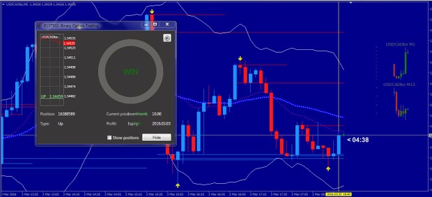 Elite 60 Pin-Bar _60_sec- Binary Options Strategy