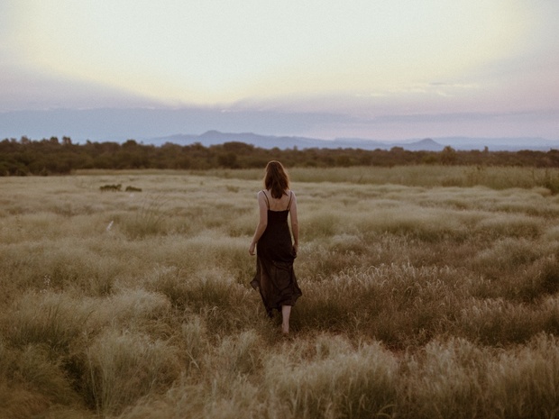 FREE FILM LIGHTROOM PRESET