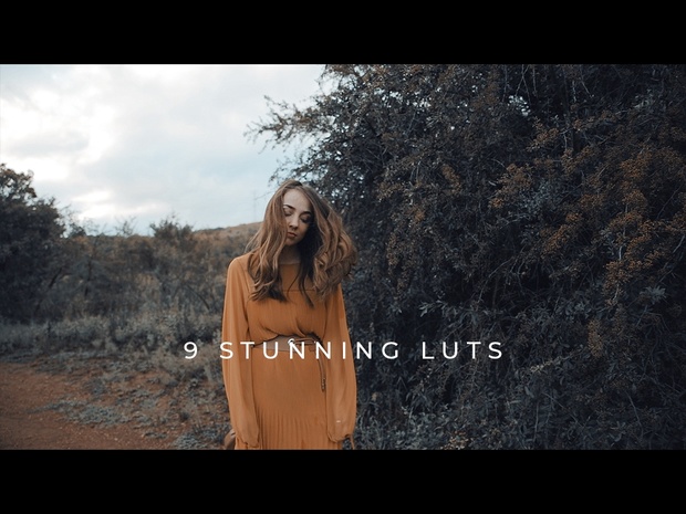 9 LUTS - Hello Wonderful LUT Pack