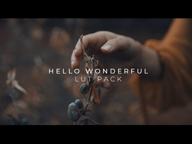 9 LUTS - Hello Wonderful LUT Pack