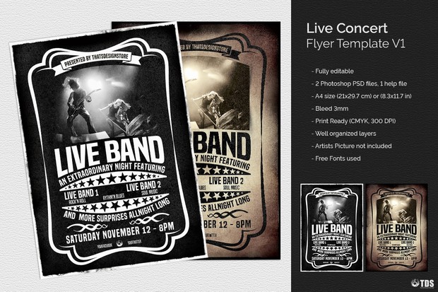 live concert flyer template v1 thats design store