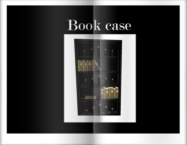 Book case Furniture