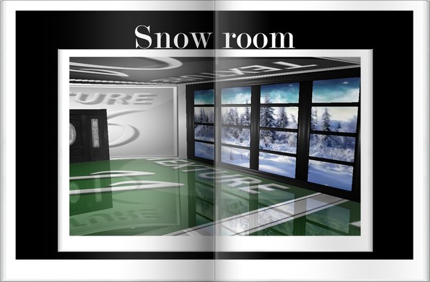 Snow Room
