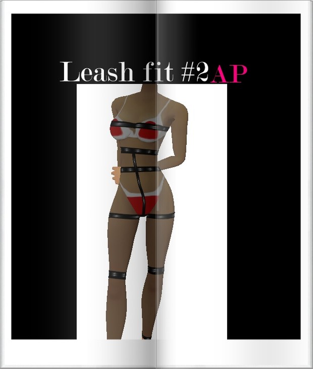 Dog leash Fit #2 Ap