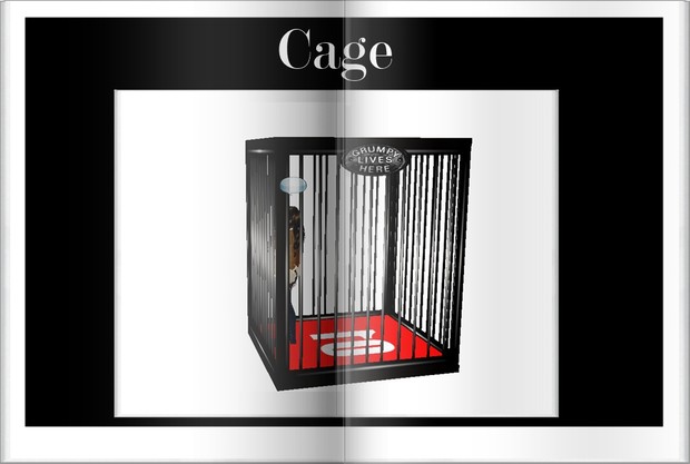 cage For Clumsy