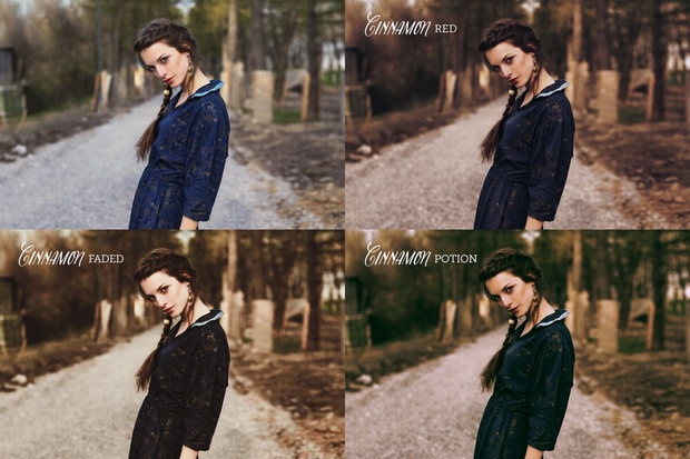 Cinnamon Portrait Photoshop Actions