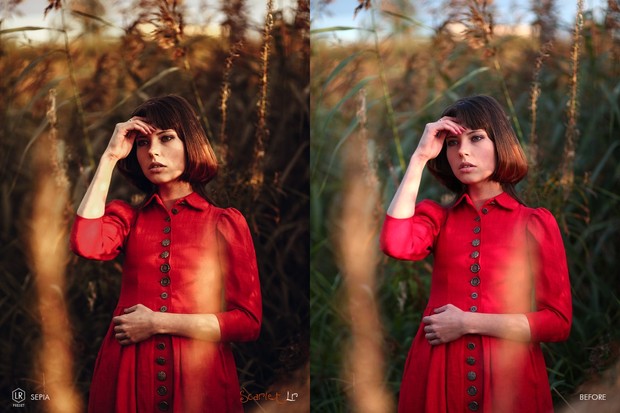 Scarlet LR Preset Bundle