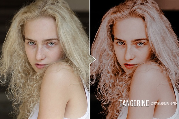 Tangerine ACR & Lightroom Presets