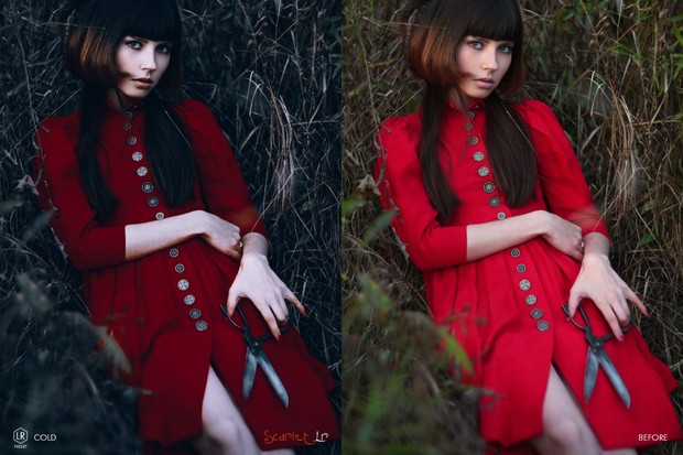 Scarlet LR Preset Bundle