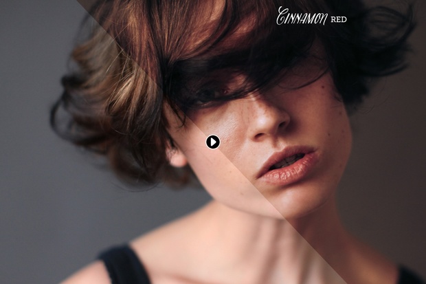 Cinnamon Portrait Photoshop Actions