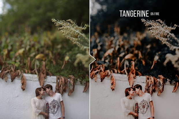 Tangerine ACR & Lightroom Presets