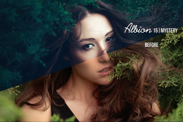 Albion Colorgrading Lightroom Presets