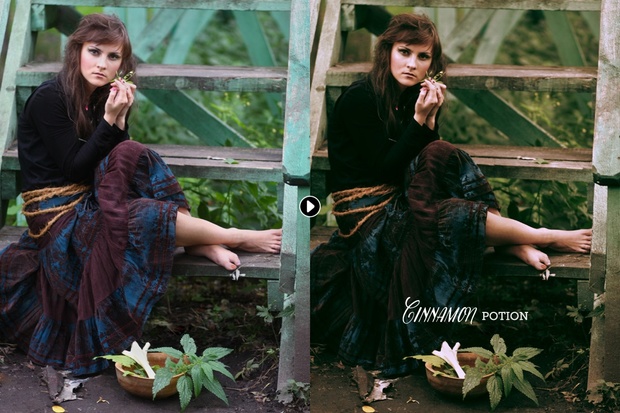 Cinnamon Portrait Photoshop Actions