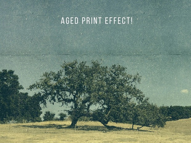 Giant Vintage Nature Photo Pack