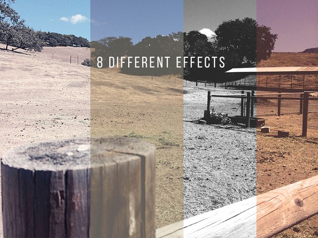 Giant Vintage Nature Photo Pack