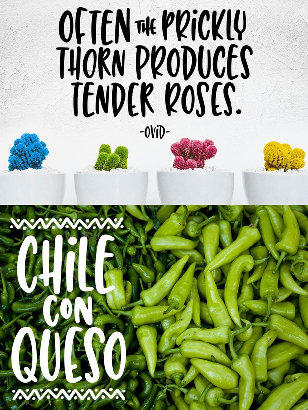 Succulent: a hand-lettered font!