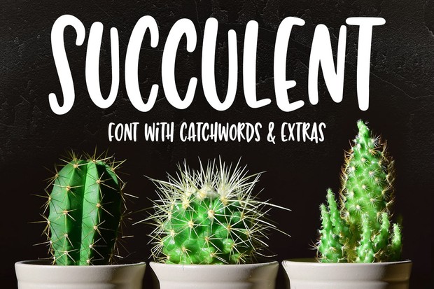 Succulent: a hand-lettered font!