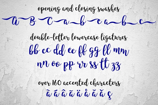 King Basil: a hand-lettered script font!