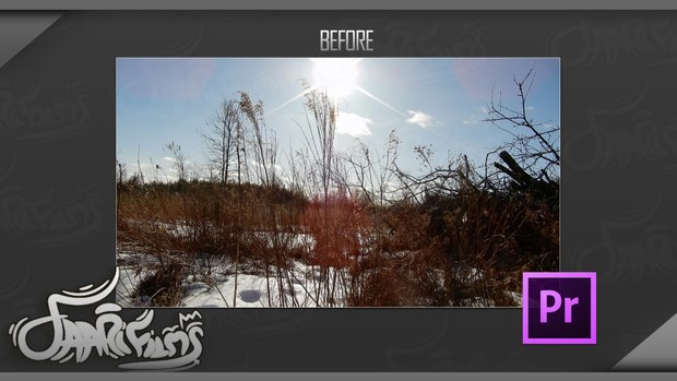 Premiere Pro