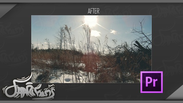 Premiere Pro
