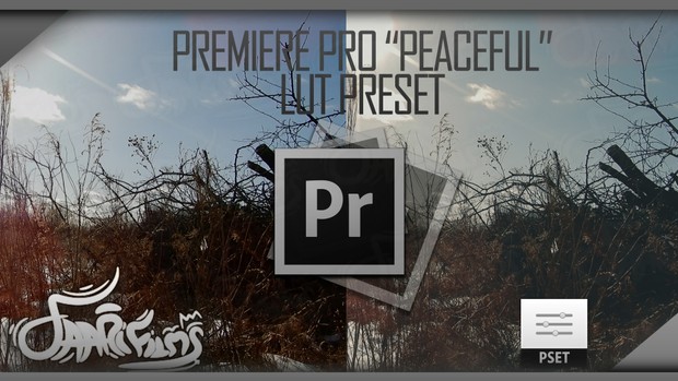Premiere Pro