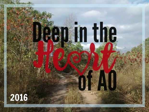 Plenary 4: The Heart of AO, Lynn Bruce