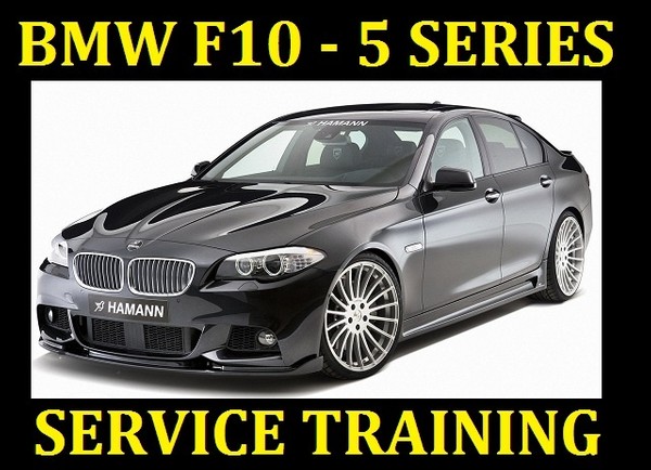 Service Workshop Repair Manual Shindaiwa Chainsaw 300 Guides And