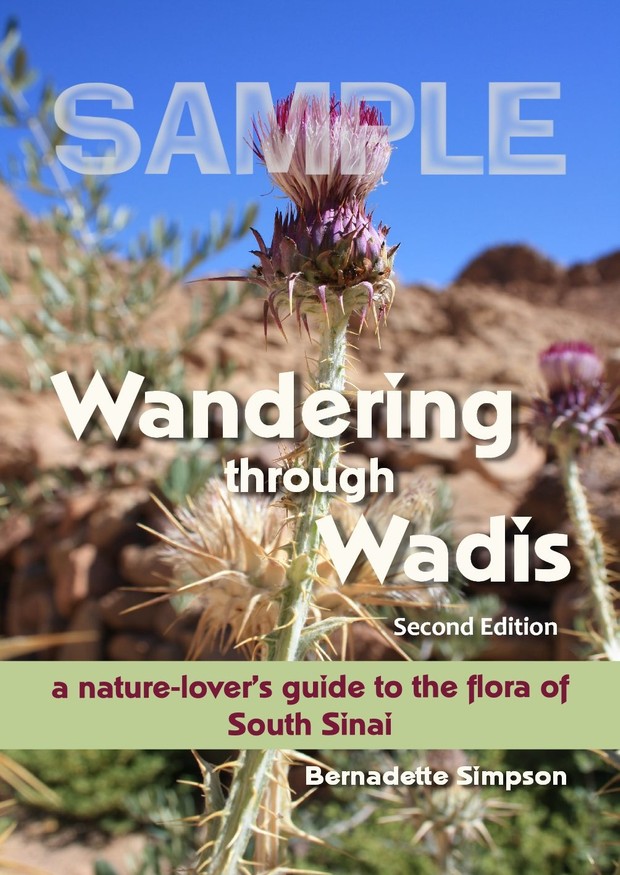 Wandering through Wadis: A nature-lover's guide to the flora of South Sinai - 2nd Edition - SAMPLE