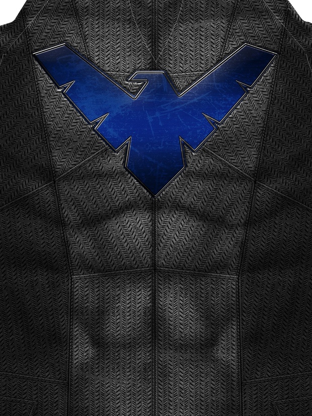 NIGHTWING: DAWN OF JUSTICE STYLE pattern file