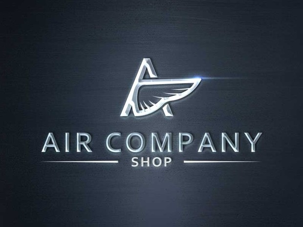 Air/wings company shop logo