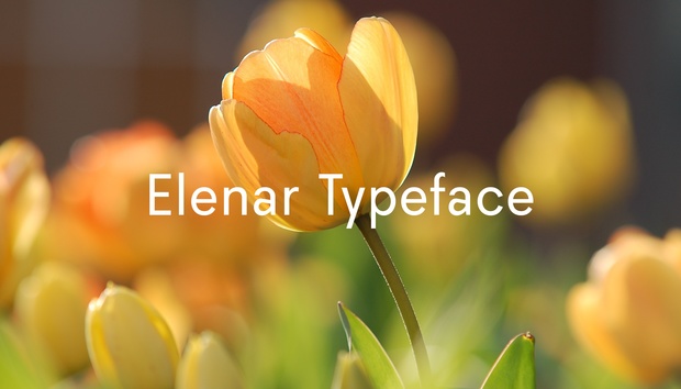 Elenar Typeface