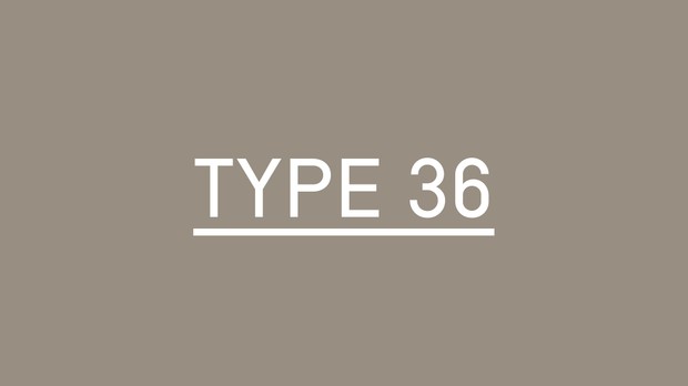 Type-36