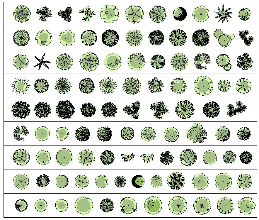 £Trees Plan colour transparency CAD block - CADblocksfree.com