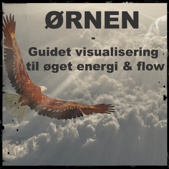 ØRNEN - Guidet meditation til øget energi & flow
