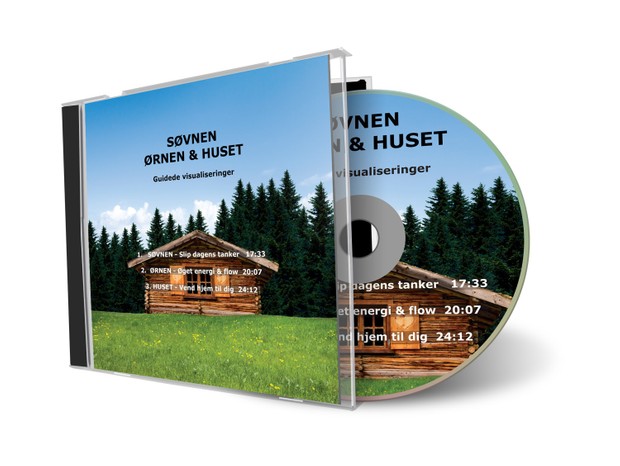 VISUALISERING CD: