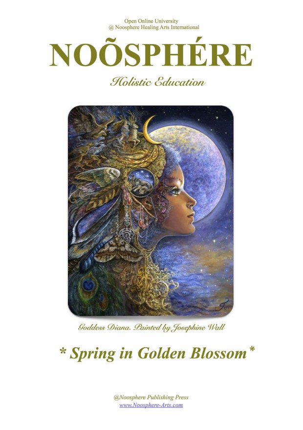 Noosphere Mag, 17