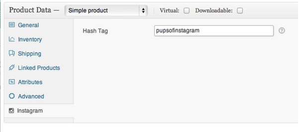 WooCommerce Instagram Extension