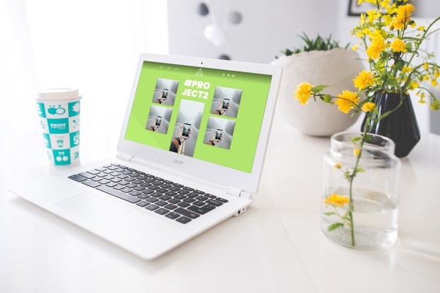 Elementor Material Porfolio Template FREE
