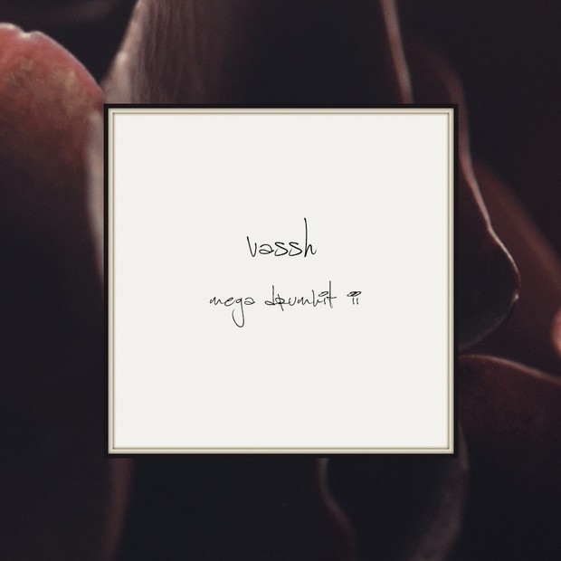 Vassh Mega Drumkit II 500+ Sounds!