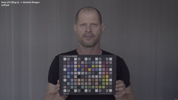 C5D LUT - Slog Fix