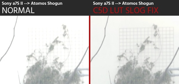 C5D LUT - Slog Fix