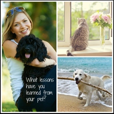 Receive a Message from YOUR Pet in the Afterlife via a Sacred Spirit Journey