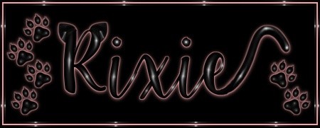 Amillia Outfit CATALOG ONLY