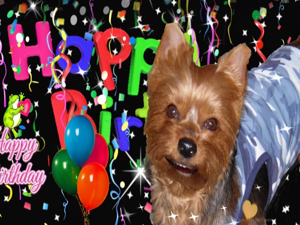 Rooster the Dog Sings Hbday Wishes