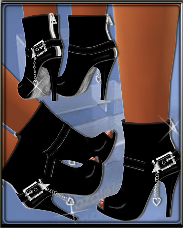 BOOT DG