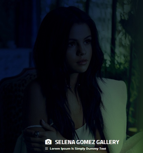 Coppermine { Premium Theme CP002 }